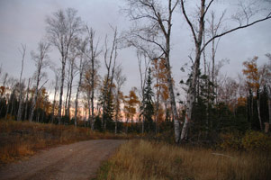 Leaving the back road near Isabella, MN.