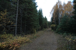 Further down the primitive road near Isabella, MN.