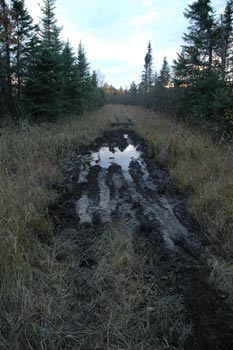 The mud puddle that ended our exploring.