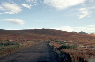 A view of the wood from the abandoned buildings at Rollins Pass.