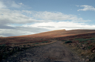A view of Rollins Pass road.